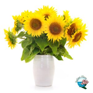 Mazzo di Girasoli in vaso