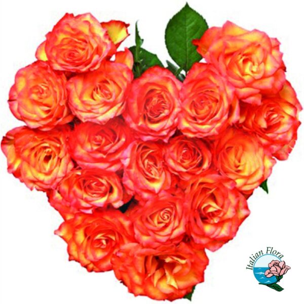 Cuore di rose arancio